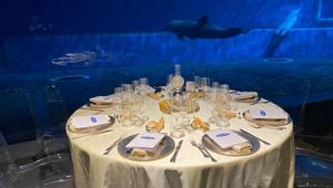 Carrier Distribution Italy ha scelto Agenzia YES! per l’organizzazione dei corporate event di fine 2022