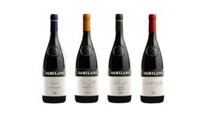 Damilano, nuova identità di immagine per la cantina del Barolo. La forza della storia e lo spirito contemporaneo guidano il progetto di restyling