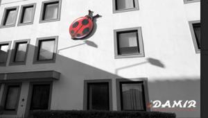 Damir si aggiudica l'incarico per la pubblicità dell'aeroporto Fontanarossa di Catania