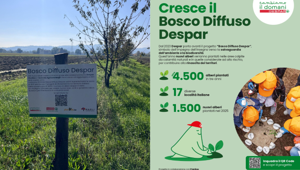 Despar rinnova il suo impegno ambientale lanciando la terza edizione del progetto "Bosco Diffuso Despar"