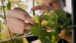 Discovery Italia al fianco di Altagamma con la campagna "MANIfesto"