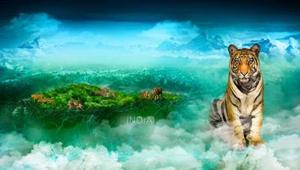 Discovery Communications annuncia il progetto CAT con il WWF. Obiettivo: conservare gli acri per le tigri