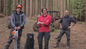 Su Dmax tornano i taglialegna di 'Undercut - L'oro di Legno'