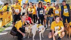 Arcaplanet torna alla Milano Marathon e riconferma la presenza alla Dog Run come sponsor ufficiale della corsa dedicata ai cani e i loro umani