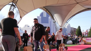 Dogs & Friends: il weekend per gli amici a quattro zampe organizzato da Promos e Barnie’s arriva alla terza edizione