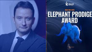 Al Bea World 2019 debutta l'Elephant Prodige Award: contest tra giovani talenti della event industry internazionale su brief di Lavazza, sponsor dell'iniziativa. Colpo: "Ci aspettiamo azzardo e provocazione"