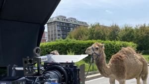 Polase torna sugli schermi italiani con il nuovo spot per Polase Plus firmato LoRo