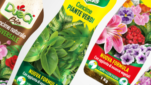 Hibo vince la gara e firma logo e packaging di 'Dueci'