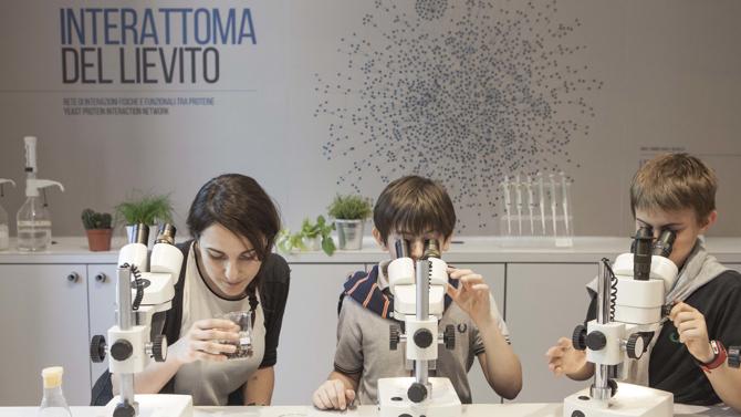 Micro mostri sotto la lente©LorenzaDaverio ArchivioMuseoNazionaleScienzaTecnologia 194