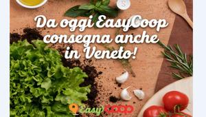Easycoop rinnova l'incarico di content strategy e social marketing a TheGoodOnes