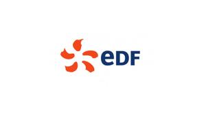 Revisione media globale per EDF