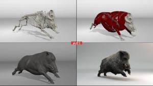 EDI firma gli effetti visivi della nuova serie 'Il Cacciatore' in onda su Rai Due