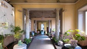 Milano Design Week 2025:  a Palazzo Bovara dal 7 al 13 aprile 'Elle Decor Alchemica', mostra - installazione che racconta la casa come organismo in continua trasformazione. Coinvolte oltre 50 aziende