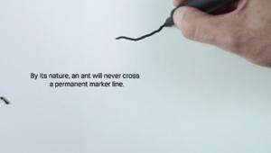 Emergency e Ogilvy per un Natale senza confini