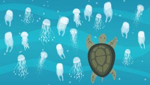 Con “Menù di mare” di Gruppo Roncaglia, Enel Energia sostiene Marevivo per la tutela dell’ambiente marino. Armando Roncaglia: "un gaming divertente che stimola azioni virtuose per salvare il mare"