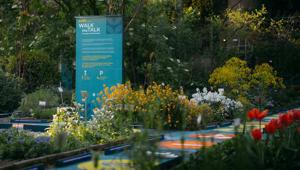 INTERNI Design Re-Evolution: Eni mette l’energia in movimento con l’installazione Walk the Talk al FuoriSalone 2023