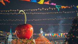 Enit, a Natale i viaggiatori stranieri scelgono l'Italia. Sino all'Epifania oltre 274 mila prenotazioni, +57,3% rispetto alle feste dello scorso anno. Raddoppiate le presenze di turisti Usa