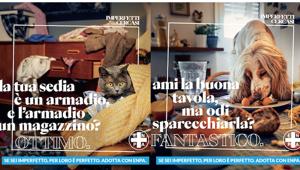 On air la campagna "Imperfetti cercasi" che inaugura la collaborazione tra tra TBWA\Italia ed ENPA. Stampa, digital, social e radio nel media mix