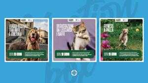 Continua la collaborazione di TBWA al fianco di ENPA a sostegno degli affidi temporanee. La nuova campagna è per le "Adoption Box”.