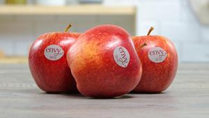 Grey si aggiudica la gara per il lancio in comunicazione della mela envy