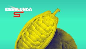 Esselunga lancia la serie podcast 'Una volta era il cioccolato' con Chora Media