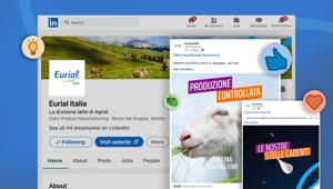 Eurial Italia affida ad A-Tono la gestione del canale Linkedin