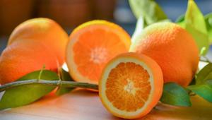Consorzio Euroagrumi: Euroconsult vince la gara da 1,6 milioni per il programma 'Citrus Fruits For Wellness' in Italia e Germania