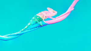 Le 6 sfide che cambieranno l'industria degli eventi