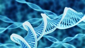Fiera Milano ospiterà CPhI 2020, evento mondiale dell'industria farmaceutica organizzato da Ubm
