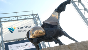 Fieracavalli 2020: il nuovo Dpcm obbliga Veronafiere ad annullare la manifestazione fisica