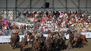Al via la 121esima edizione di Fieracavalli con 2400 cavalli di 60 razze provenienti da tutto il mondo, oltre 200 eventi e il Gala d'Oro
