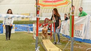 Quattrozampeinfiera: a Roma, il 5 e il 6 marzo la “due giorni pet friendly” in totale sicurezza