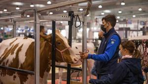 L’evoluzione del format fieristico passa anche attraverso la formazione: al via tre nuovi progetti promossi da CremonaFiere