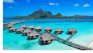 Tourism Fiji sceglie Saatchi&Saatchi come agenzia creativa globale