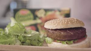 Findus debutta nel settore dei prodotti alternativi alla carne con la linea "Green Cuisine". On air la campagna digital, seguita dallo spot tv da settembre. Firmano Network Comunicazione, Bcube e McCann