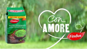 Grey firma 'Con amore da Findus' la nuova campagna dedicata ai Pisellini Primavera
