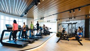 Nasce Fit.Comm, l'associazione Fitness Imprese Commerciali che raggruppa Virgin Active, Egosistema, McFit, Orange, FitExpress