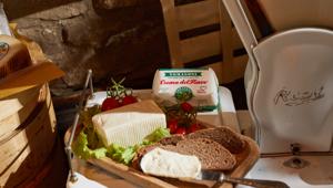 Tomasoni partner di ‘Edera Film Festival 2019’ per sostenere il cinema d’autore a Treviso