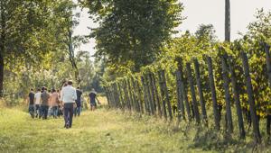Torna l’appuntamento con il Festival Franciacorta in Cantina