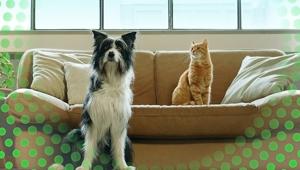 Wundermann Thompson sigla la nuova campagna di Frontline Combo dedicata a tutti i pet lover, on air su TV, digital e web