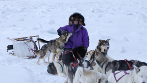 La Frozen Week fa volare gli ascolti di Alpha del +25%