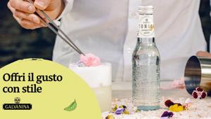 Galvanina sceglie Social Factor  dopo gara per il digital marketing