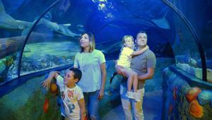 Gardaland Sea Life Aquarium festeggia i suoi primi 10 anni con una caccia al tesoro e con la partecipazione di Massimiliano Rosolino