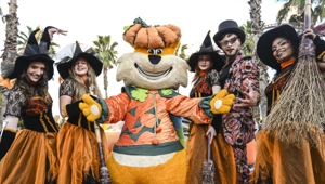 A MagicLand l'Halloween più grande di sempre tra intrattenimento ed esperienze per famiglie: parco tematico pronto al restyling autunnale