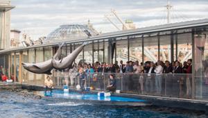 Acquario di Genova, quando il team building è tailor made in una location unica