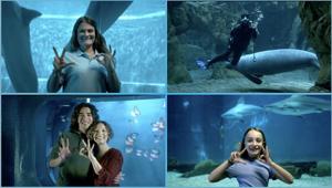 Acquario di Genova on air con un nuovo spot che celebra i 30 anni a firma di Picnic. Tv nazionali e kids nel media mix