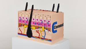 Ceramol presenta il primo modello anatomico al mondo della pelle interamente realizzato in mattoncini Lego®. Firma la creatività George - Kill your dragons