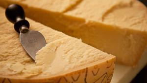 Grana Padano Dop si conferma Main Partner del Food&Science Festival 2019