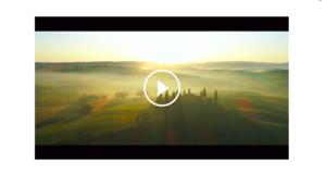 A BAM la gestione dei social Grissin Bon