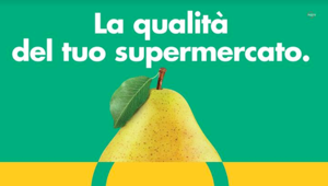 Il Gruppo VéGé lancia due nuove campagne stampa con Sunny Milano. Il budget 2017 sale a 4 mln